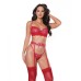 Holiday Metallic Stretch Lace Underwire Bra, Garter Belt & G-string Red/silver Md Holiday Metallic Stretch Lace Underwire Bra, Garter Belt & G-string Red/silver Md